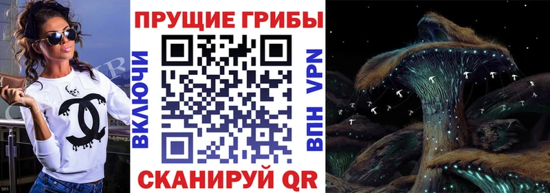 Псилоцибиновые грибы прущие грибы  Купить закладки  Тотьма 